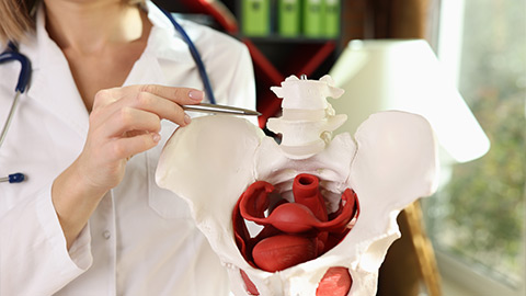 Riabilitazione Pavimento Pelvico