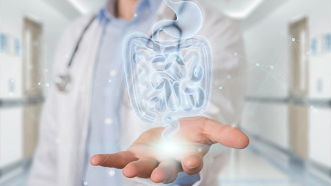 Test Microbiota Intestinale - Enterotipo